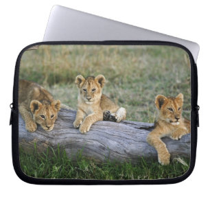 Protection Pour Ordinateur Portable Lionceaux sur une bûche