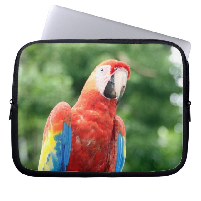 Protection Pour Ordinateur Portable macaw (Devant)