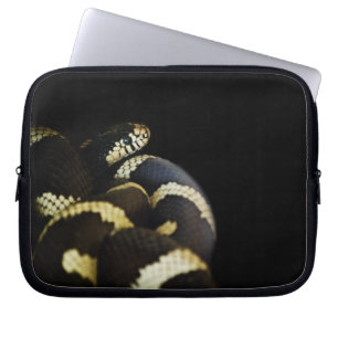 Protection Pour Ordinateur Portable Manche d'ordinateur portable California King Snake
