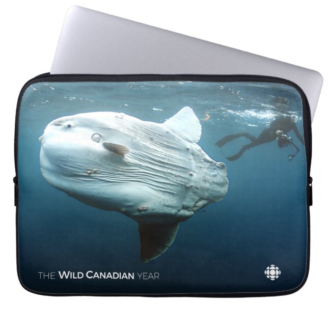 Protection Pour Ordinateur Portable Mola Mola (Devant)