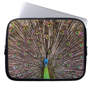 Protection Pour Ordinateur Portable Œuvre d'art élégante de paon et de plume