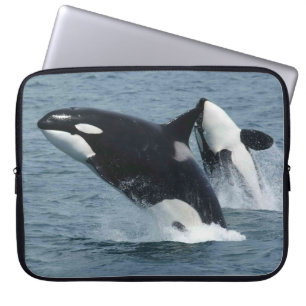 Protection Pour Ordinateur Portable Orca Whales Breaching