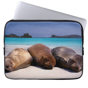 Protection Pour Ordinateur Portable Otaries dormant sur la plage Equateur