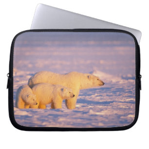 Protection Pour Ordinateur Portable Ours polaire femelle avec des oursons de printemps