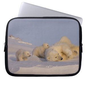 Protection Pour Ordinateur Portable ours polaire, Ursus maritimus, femelle jouant
