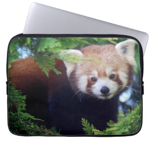 Protection Pour Ordinateur Portable Panda rouge