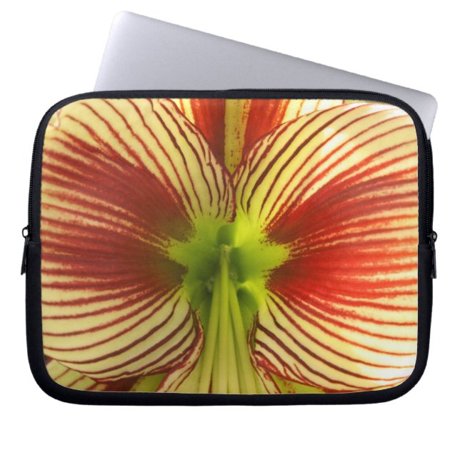 Protection Pour Ordinateur Portable Papillon Amaryllis (Devant)
