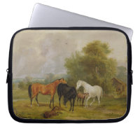 Pâturage de chevaux : Juments et poulains dans un