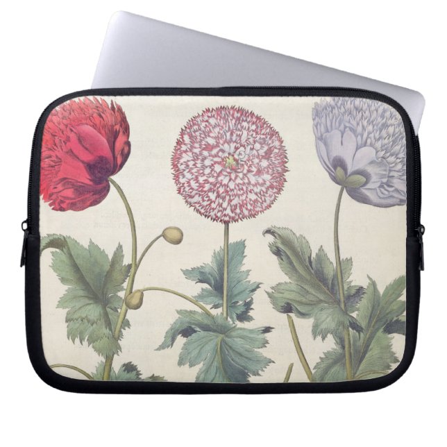 Protection Pour Ordinateur Portable Pavots : rubicundis multiplex des albumoris (Devant)