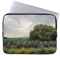 Paysage avec l'agave bleu