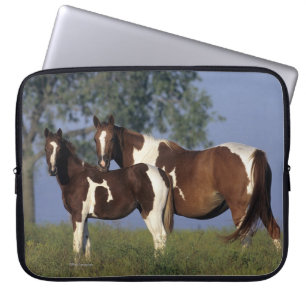 Protection Pour Ordinateur Portable Peignez la jument et le poulain