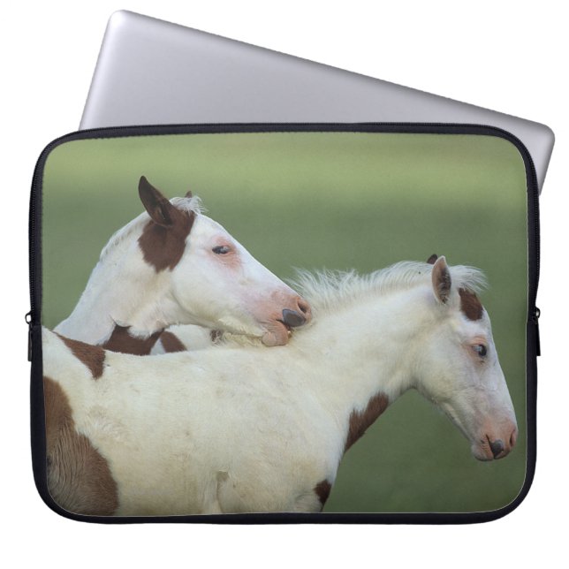 Protection Pour Ordinateur Portable Peignez le jeu de poulains (Devant)