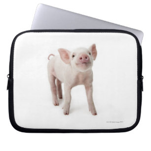 Protection Pour Ordinateur Portable Pig debout en regardant