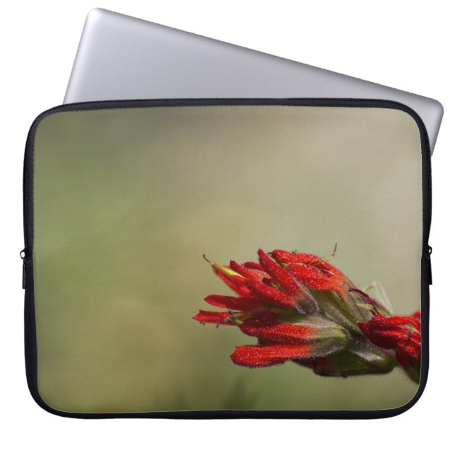 Protection Pour Ordinateur Portable Pinceau indien (Devant)