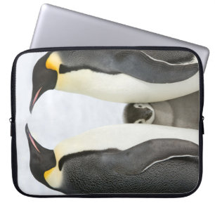 Protection Pour Ordinateur Portable Pingouins d'empereur avec le poussin - caisse