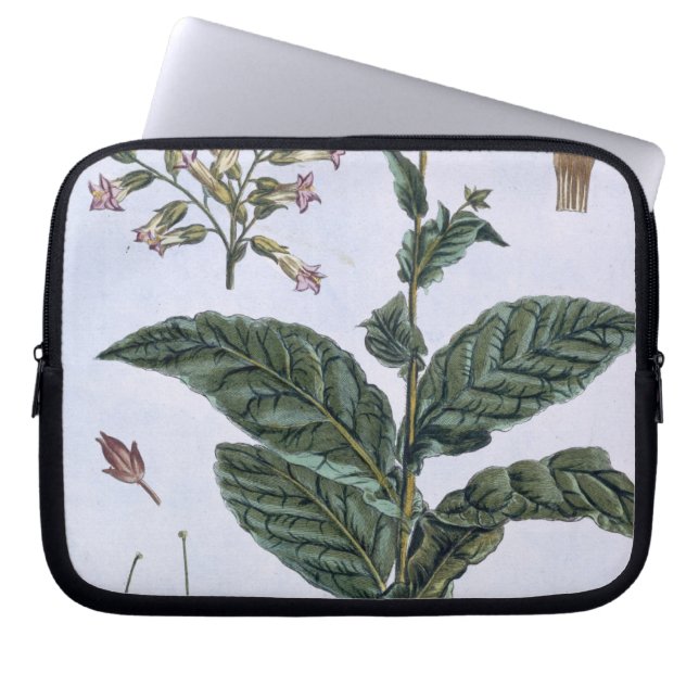 Protection Pour Ordinateur Portable Plante de tabac, plat 7, de 'collection Precieuse (Devant)