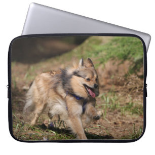 Protection Pour Ordinateur Portable Pomeranian fonctionnant avec le harnais dessus