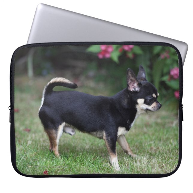 Protection Pour Ordinateur Portable Position aux cheveux courts de chiwawa (Devant)