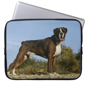 Protection Pour Ordinateur Portable Position d'exposition canine de boxeur