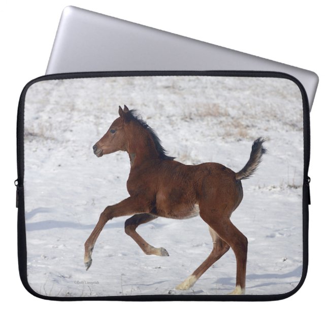 Protection Pour Ordinateur Portable Poulain arabe dans la neige (Devant)