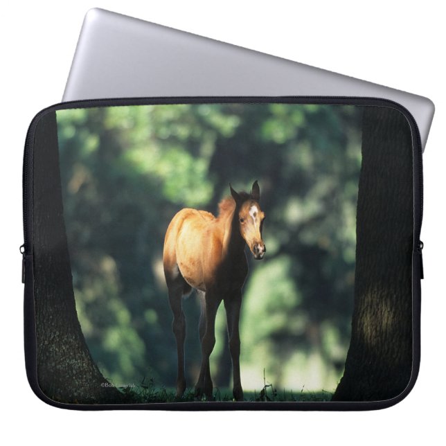 Protection Pour Ordinateur Portable Poulain arabe dans les arbres (Devant)