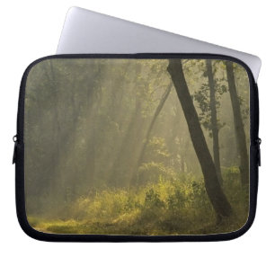 Protection Pour Ordinateur Portable Rayons de lumière du matin à travers les arbres da