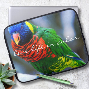 Protection Pour Ordinateur Portable Red Green Lorikeet Bird Photo Live Life in Color