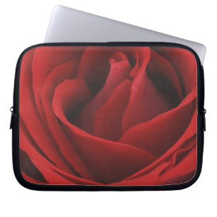 Protection Pour Ordinateur Portable Rose rouge de floraison