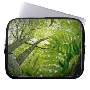 Protection Pour Ordinateur Portable Scène forestière dans le parc national d'Acadia, M