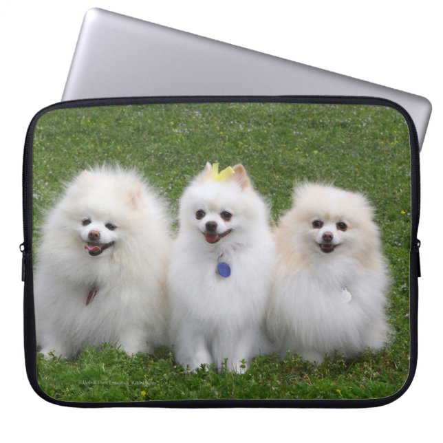 Protection Pour Ordinateur Portable Séance de 3 Pomeranians (Devant)