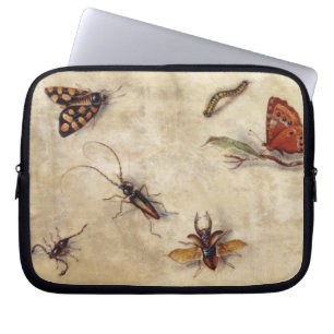 Protection Pour Ordinateur Portable T31567 une étude de divers insectes, fruit et