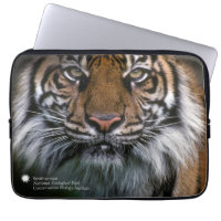 Tigre Soyono de Smithsonien | Sumatran