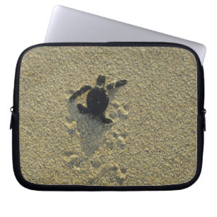 Protection Pour Ordinateur Portable Tortue verte, (Chelonia mydas), nouveau-né