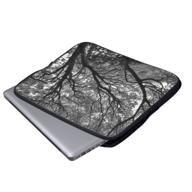 Protection Pour Ordinateur Portable Tree Canopy IV, Bute Park, Cardiff (Devant bas)