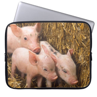 Protection Pour Ordinateur Portable Trois petits cochons