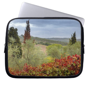 Protection Pour Ordinateur Portable Vignoble près de Montalcino, Toscane, Italie