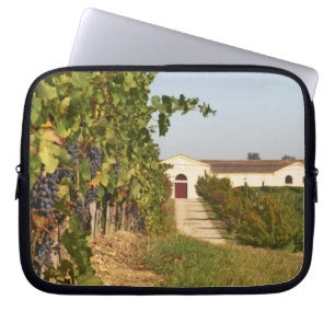 Protection Pour Ordinateur Portable Vignobles, vignes de petit verdot et la cave dans
