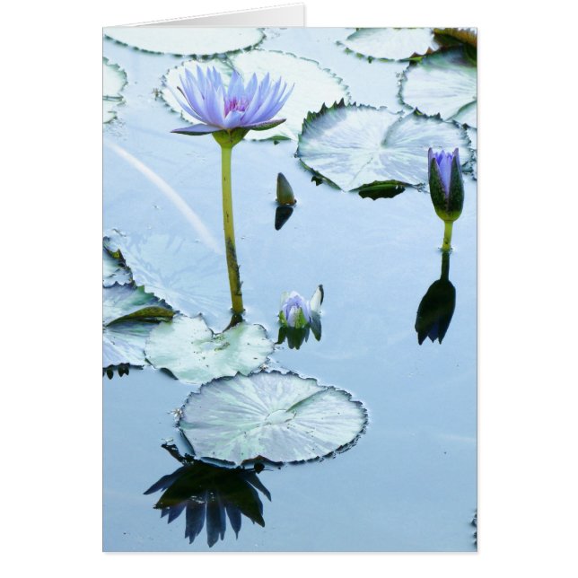 Protections de lis et carte de Lotus (Devant)