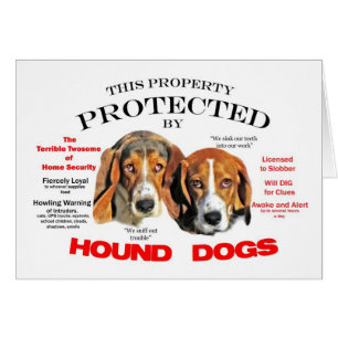 Protégé par les chiens de chien