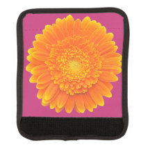 marguerite orange
