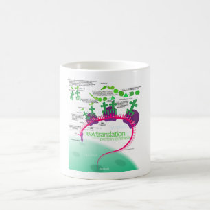 Protein Synthesis Diagram of RNA translation  Coffee Mug