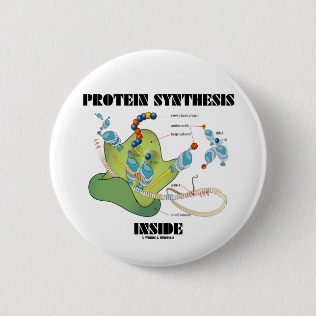 Protein Synthesis Inside (Cell Biology) 2 Inch Round Button (Front)