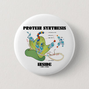 Protein Synthesis Inside (Cell Biology) 2 Inch Round Button