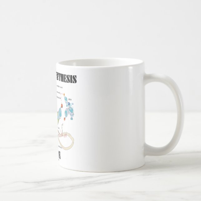 Protein Synthesis Inside (Cell Biology) Coffee Mug (Right)