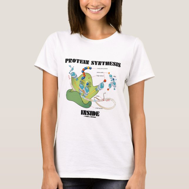 Protein Synthesis Inside (Cell Biology) T-Shirt (Front)