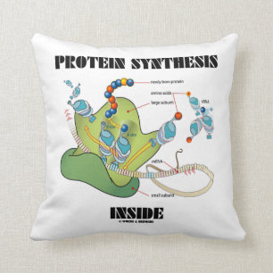 Protein Synthesis Inside (mRNA tRNA) Throw Pillow