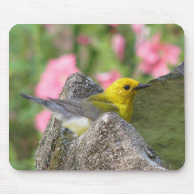 Prothonotary Bath Mousepad (Front)