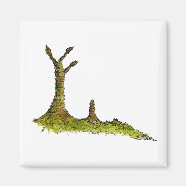 Prototaxites Lichens Magnet (Devant)