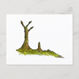 Prototaxites Lichens Postcard