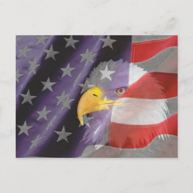 Proud and Patriotic USA Bald Eagle Postcard (Front)